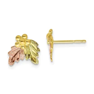 10k Tri-color Black Hills Gold Post Earrings