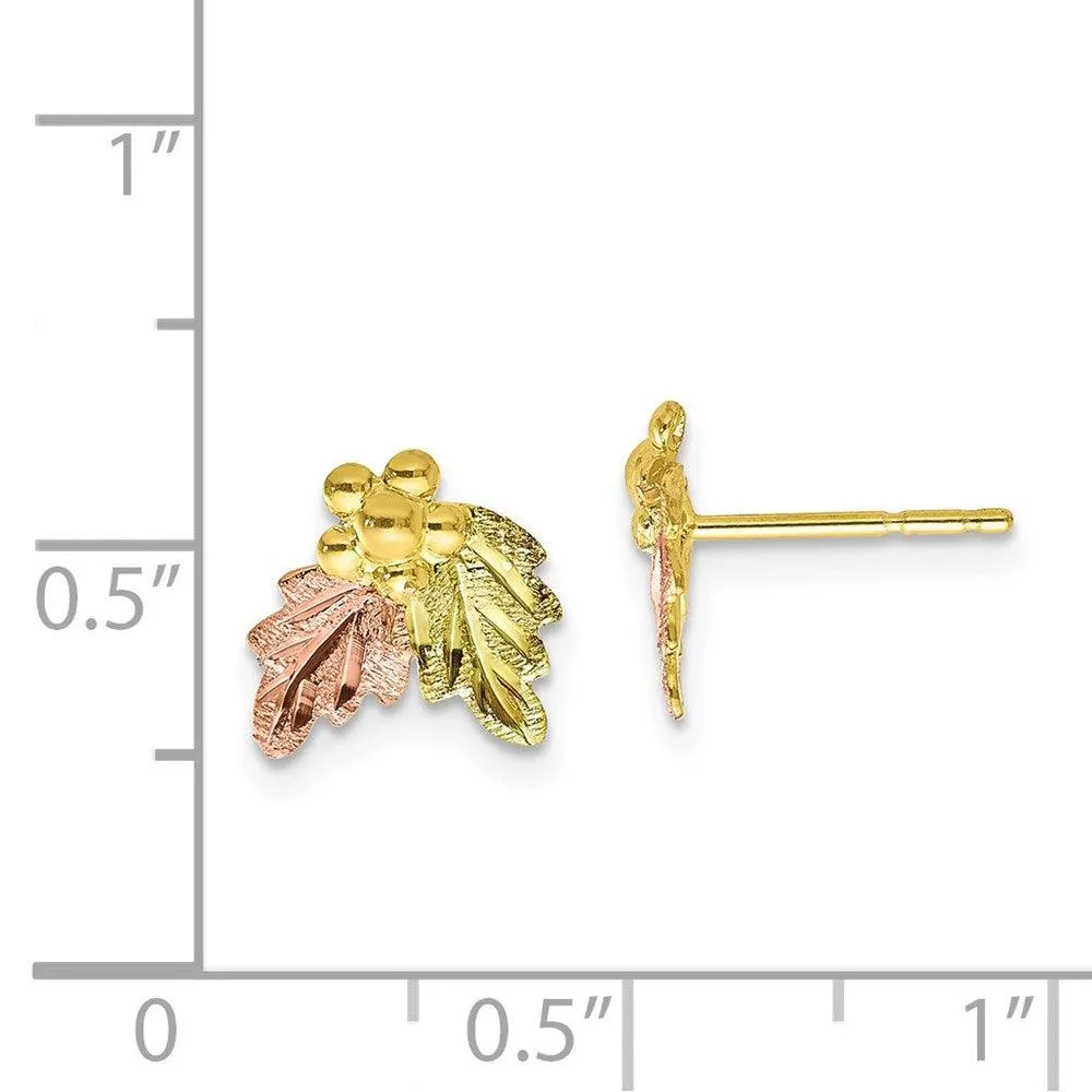10k Tri-color Black Hills Gold Post Earrings