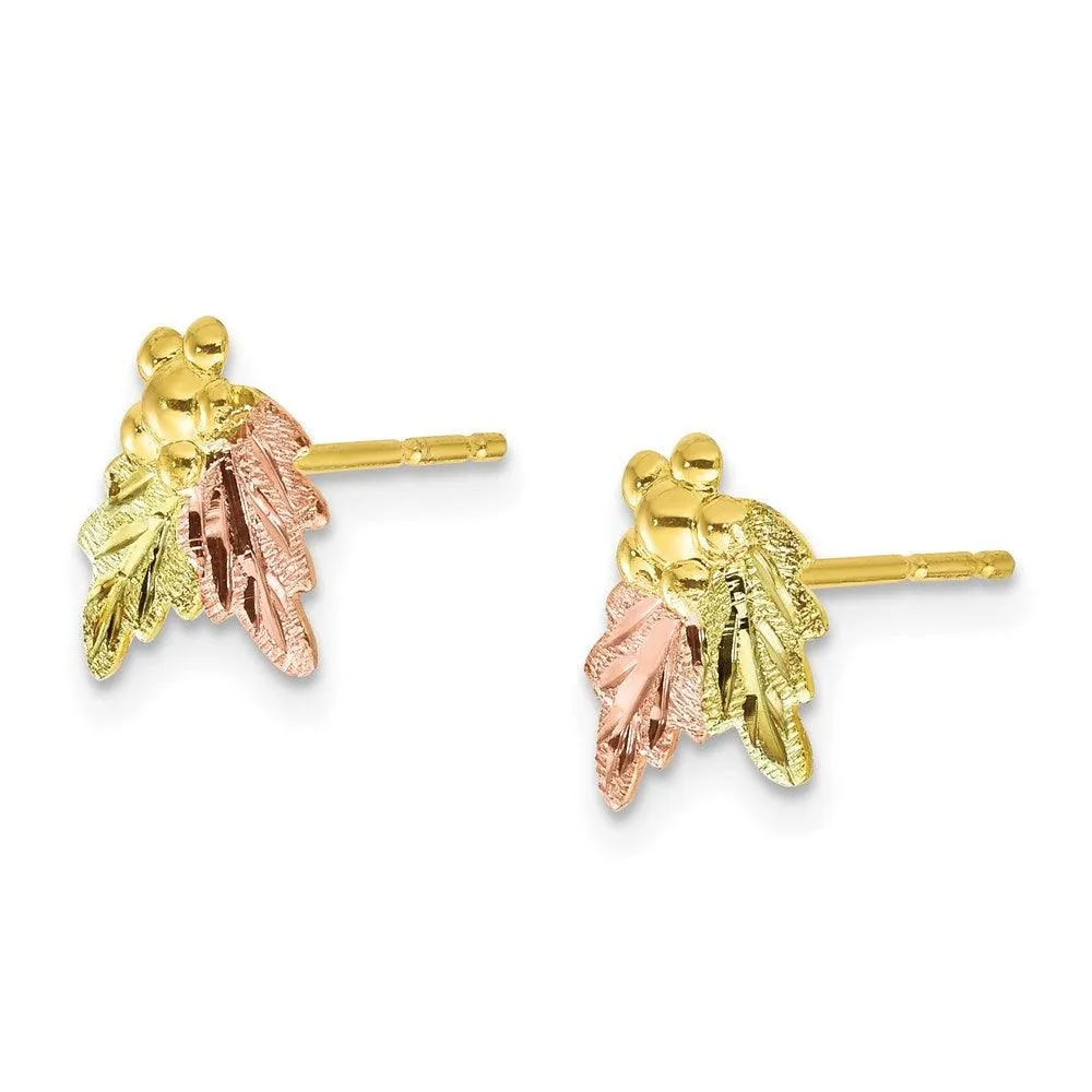 10k Tri-color Black Hills Gold Post Earrings