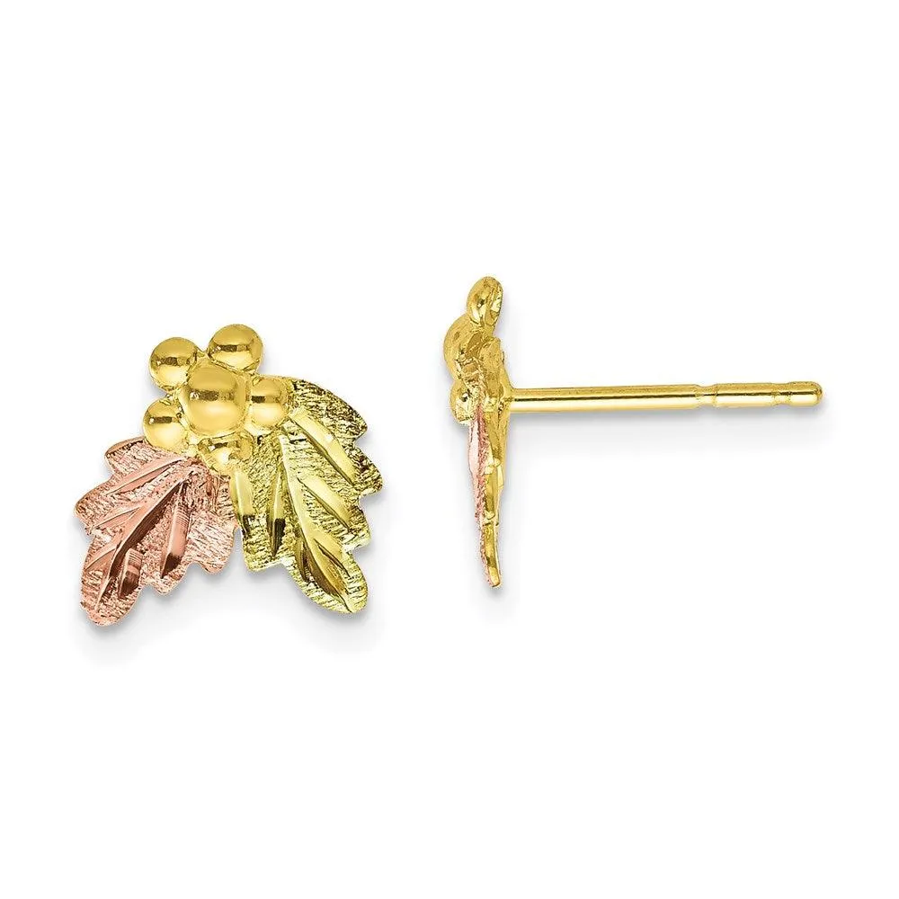 10k Tri-color Black Hills Gold Post Earrings