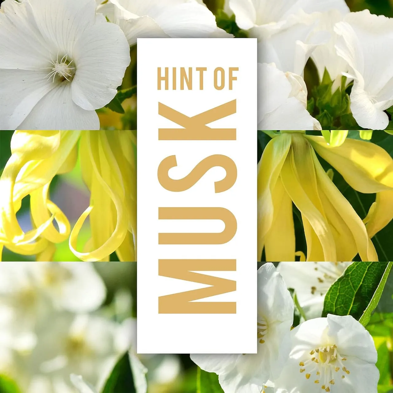 Impulse Body Spray Hint Of Musk Inspired By Bergamot & Musk 150ml