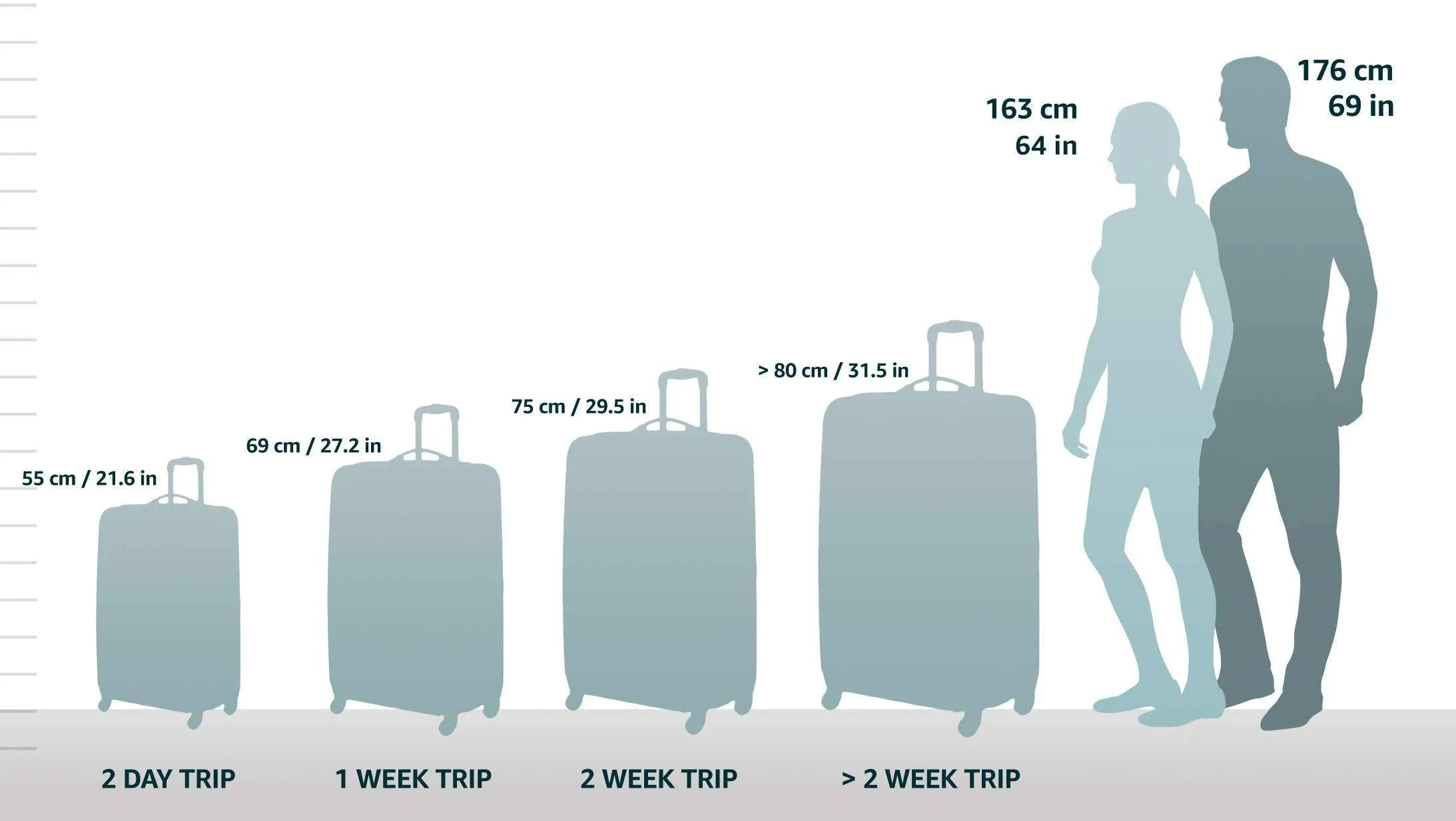 Samsonite Winfield 2 3 Piece Set (20"/24"/28") 4-Wheel Luggage Sets